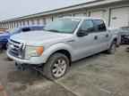 2009 FORD F-150 Lightning