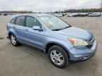 2010 HONDA CR-V