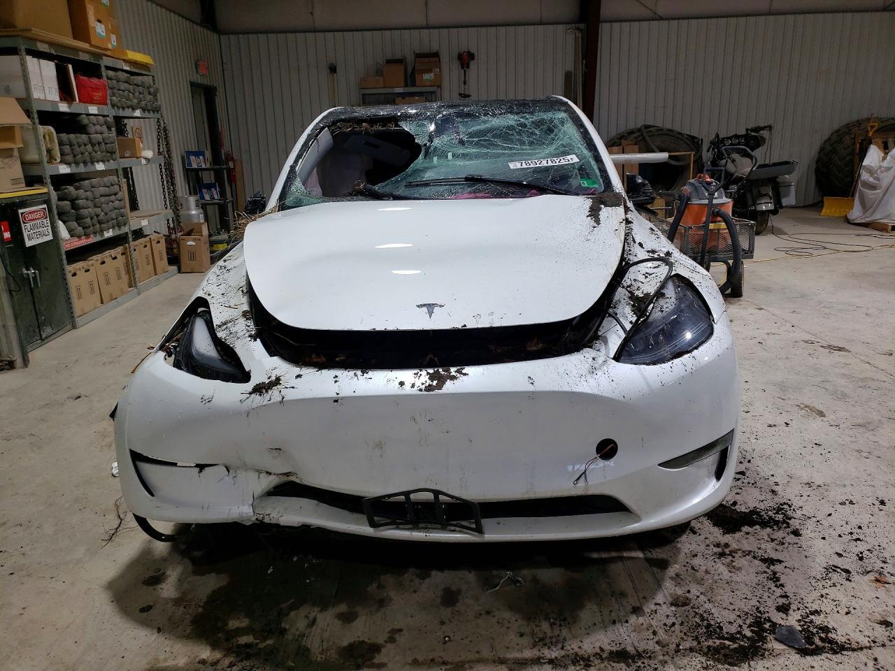 2024 TESLA MODEL Y