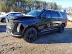 2025 CADILLAC ESCALADE