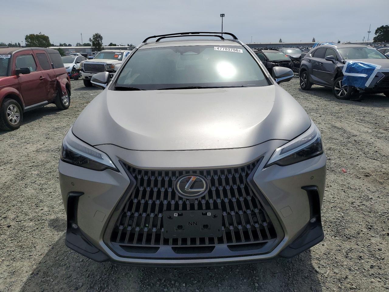 2024 LEXUS NX 350