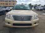 2008 LEXUS Lx