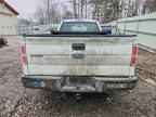 2010 FORD F-150 Lightning