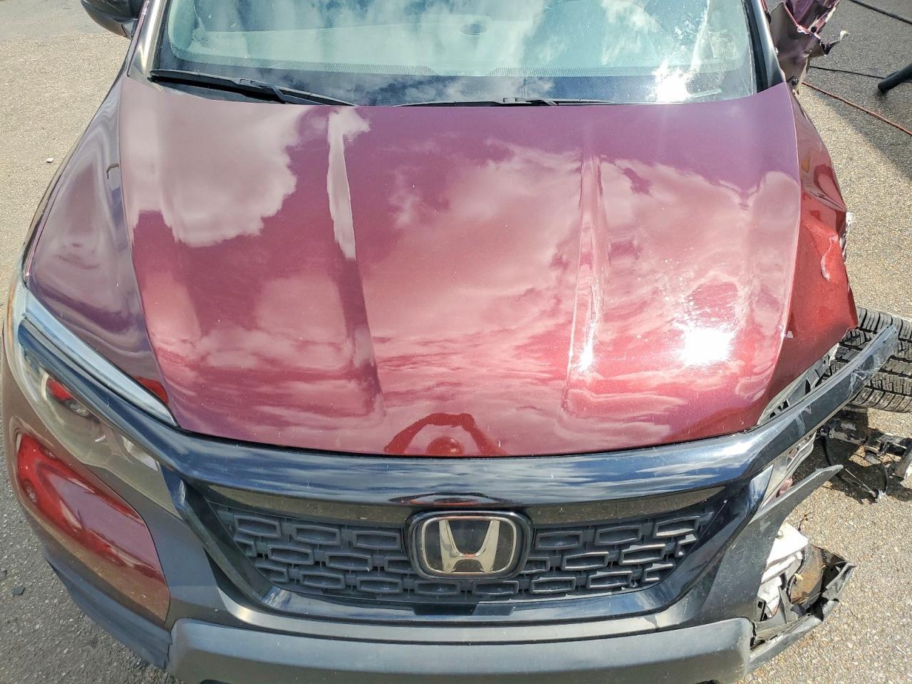 2019 HONDA Passport