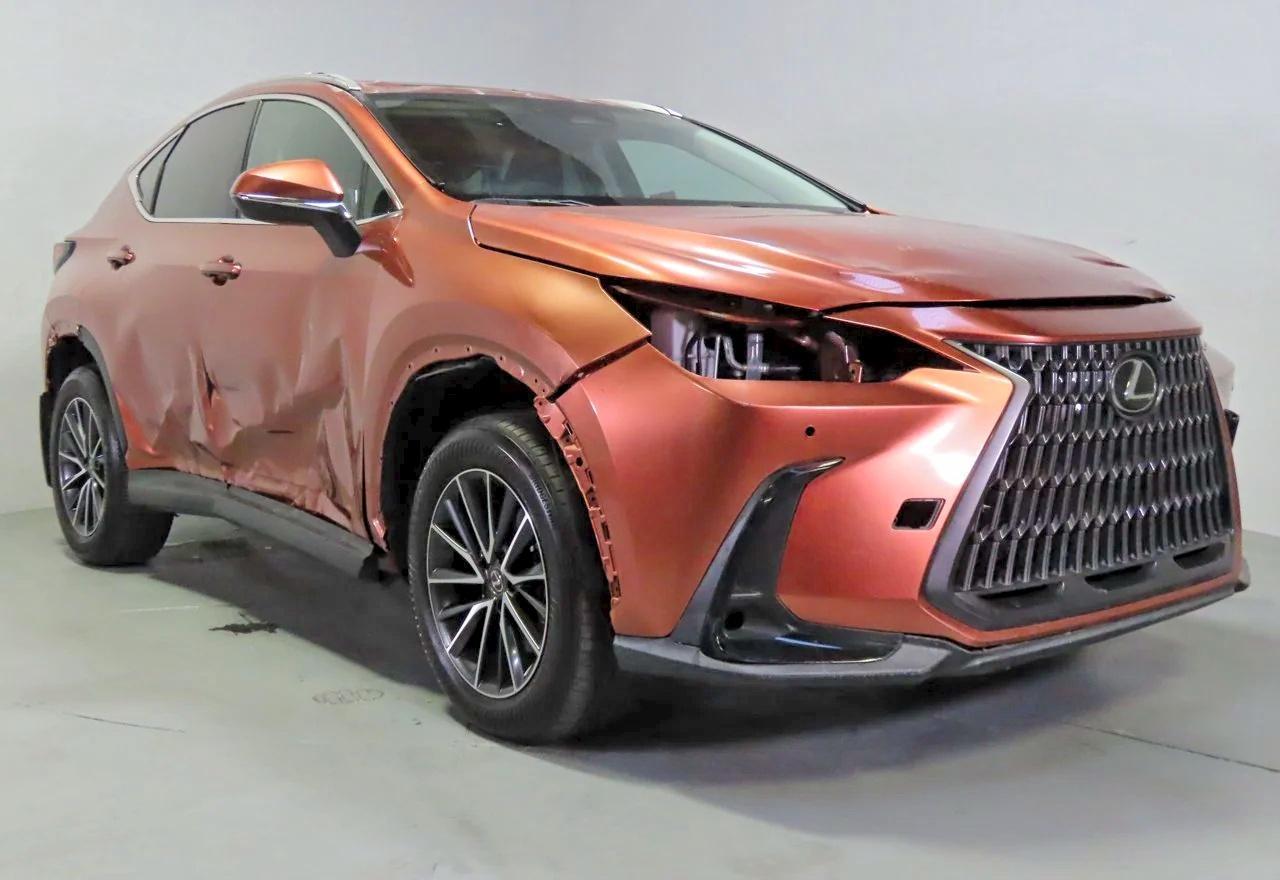 2025 LEXUS NX 250