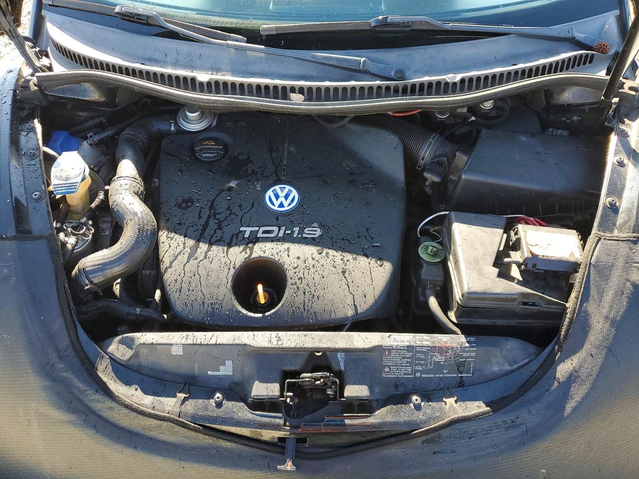 2001 VOLKSWAGEN Beetle