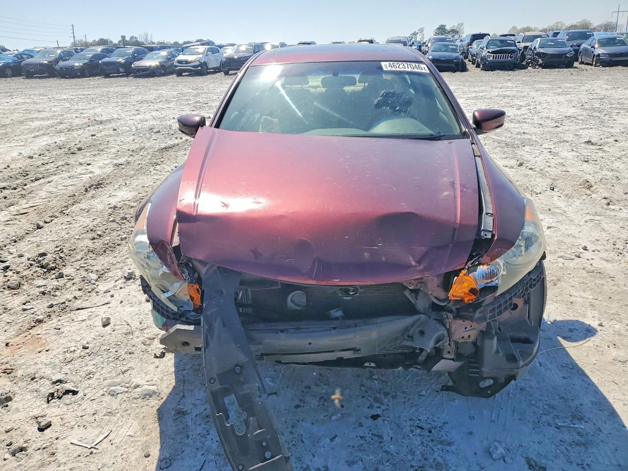 2010 HONDA ACCORD