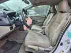 2010 HONDA Insight