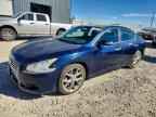 2010 NISSAN Maxima