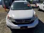 2010 HONDA CR-V