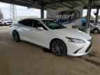 2024 LEXUS ES 300H