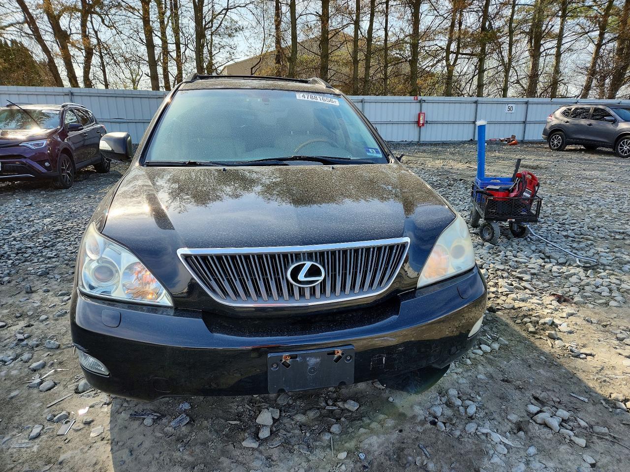 2004 LEXUS Rx 330