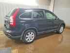 2009 HONDA CR-V