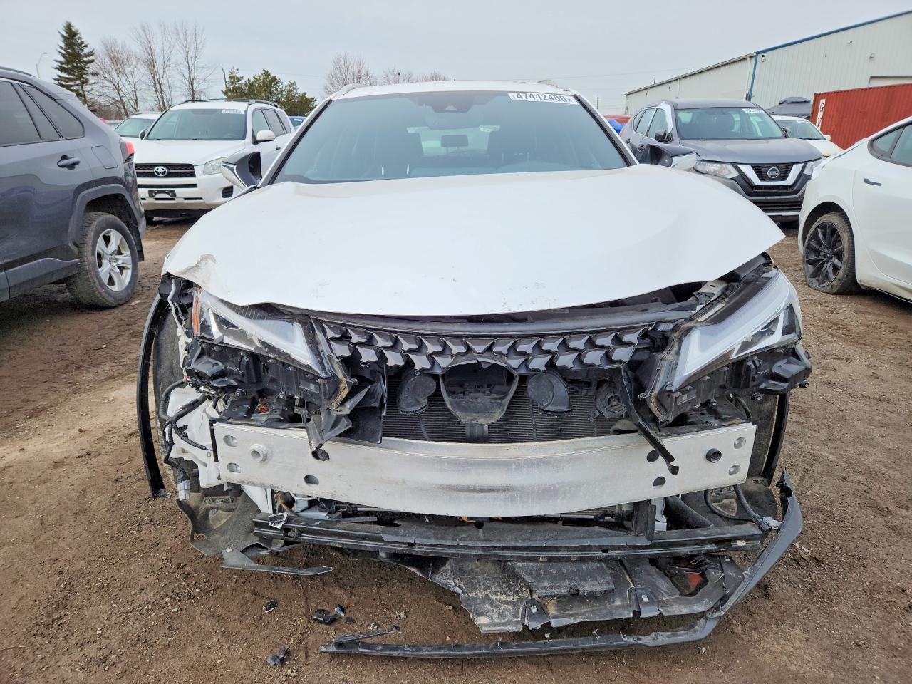 2021 LEXUS UX 250H