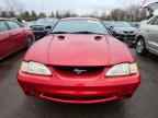 1996 FORD MUSTANG