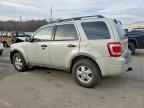2009 FORD ESCAPE