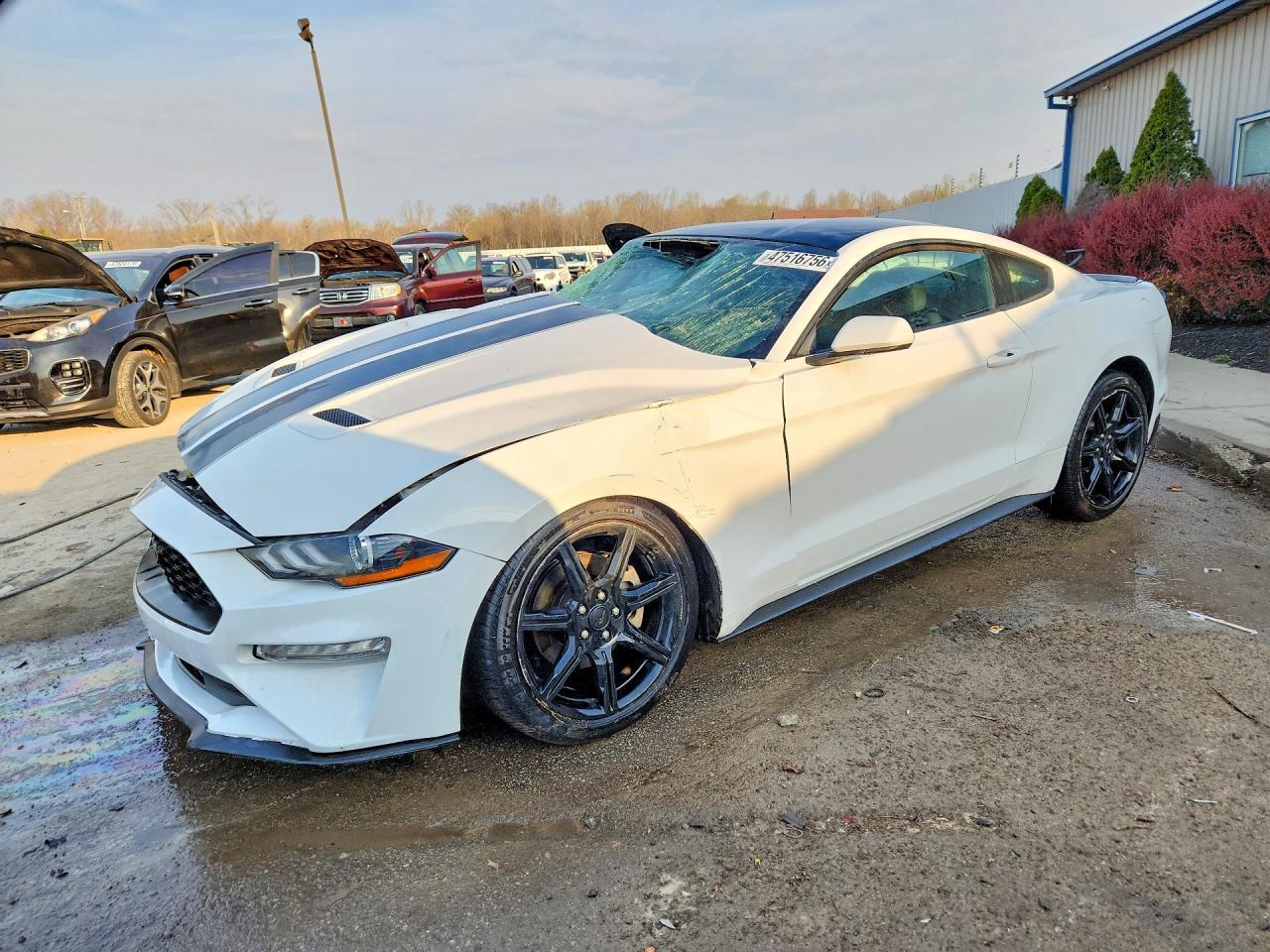 2019 FORD MUSTANG