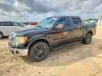 2010 FORD F-150 Lightning