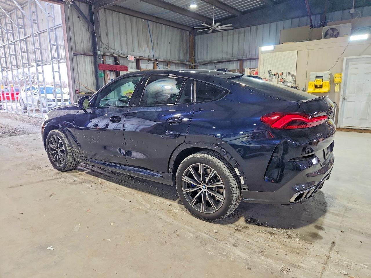 2025 BMW X6