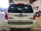 2010 FORD ESCAPE