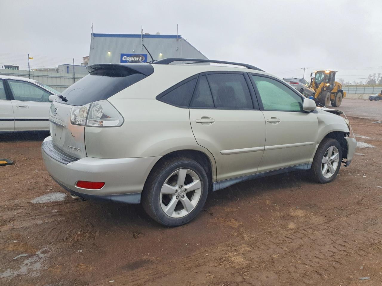2007 LEXUS RX 350