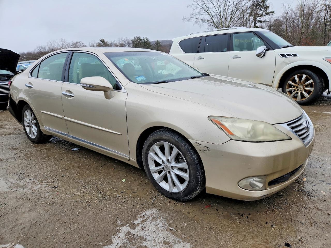2011 LEXUS ES 350