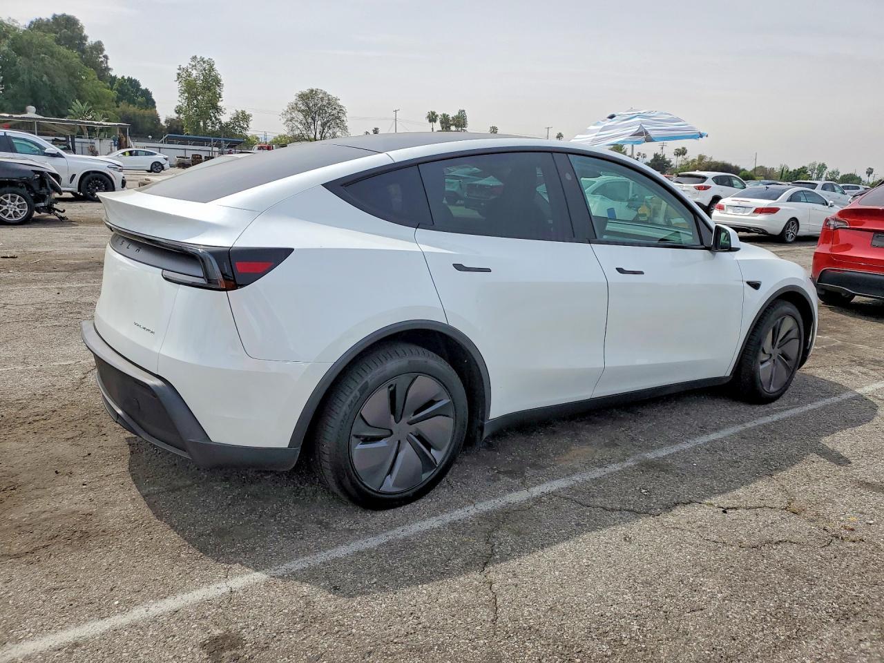 2026 TESLA MODEL Y