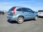2010 HONDA CR-V