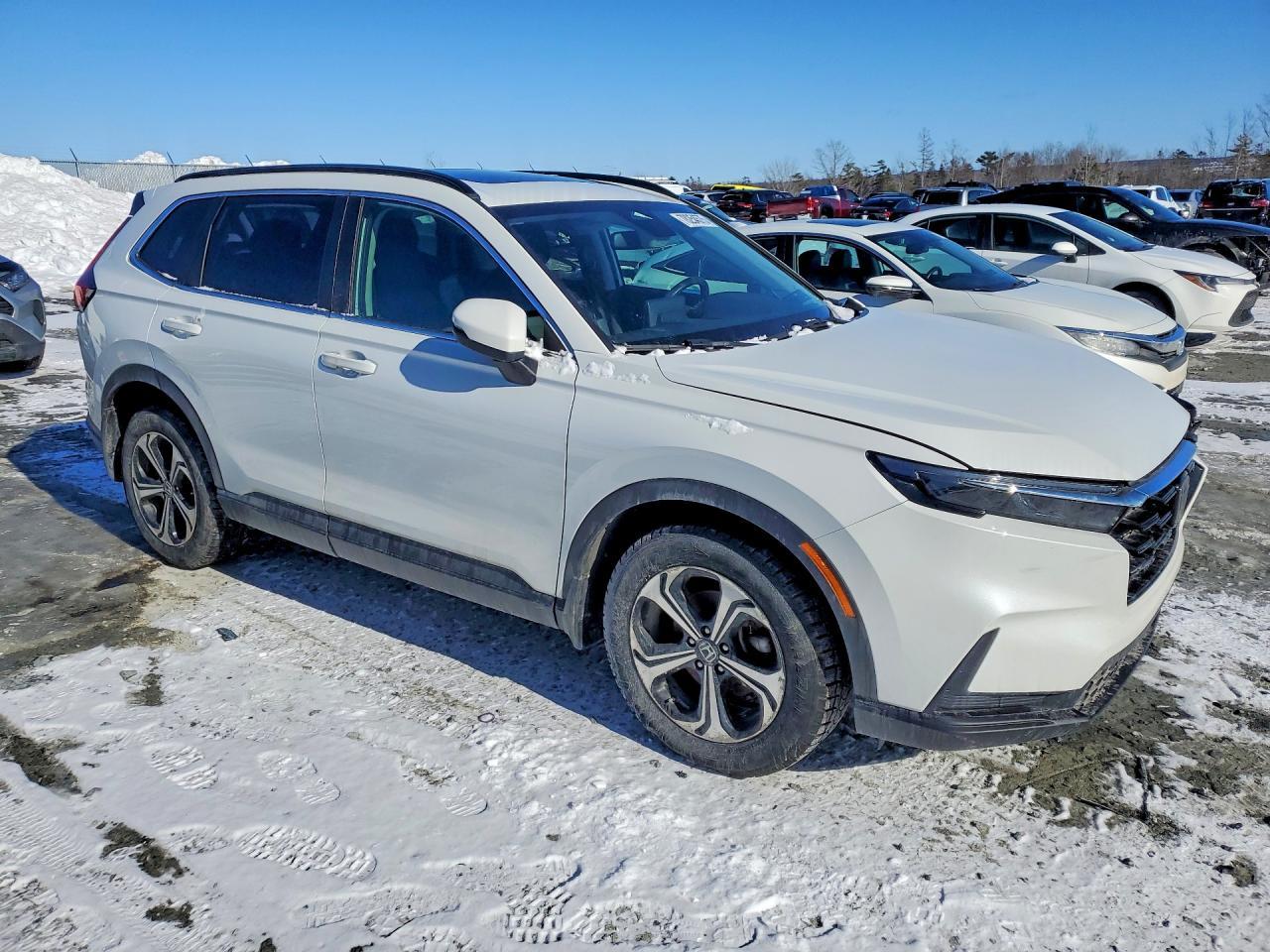 2023 HONDA CR-V