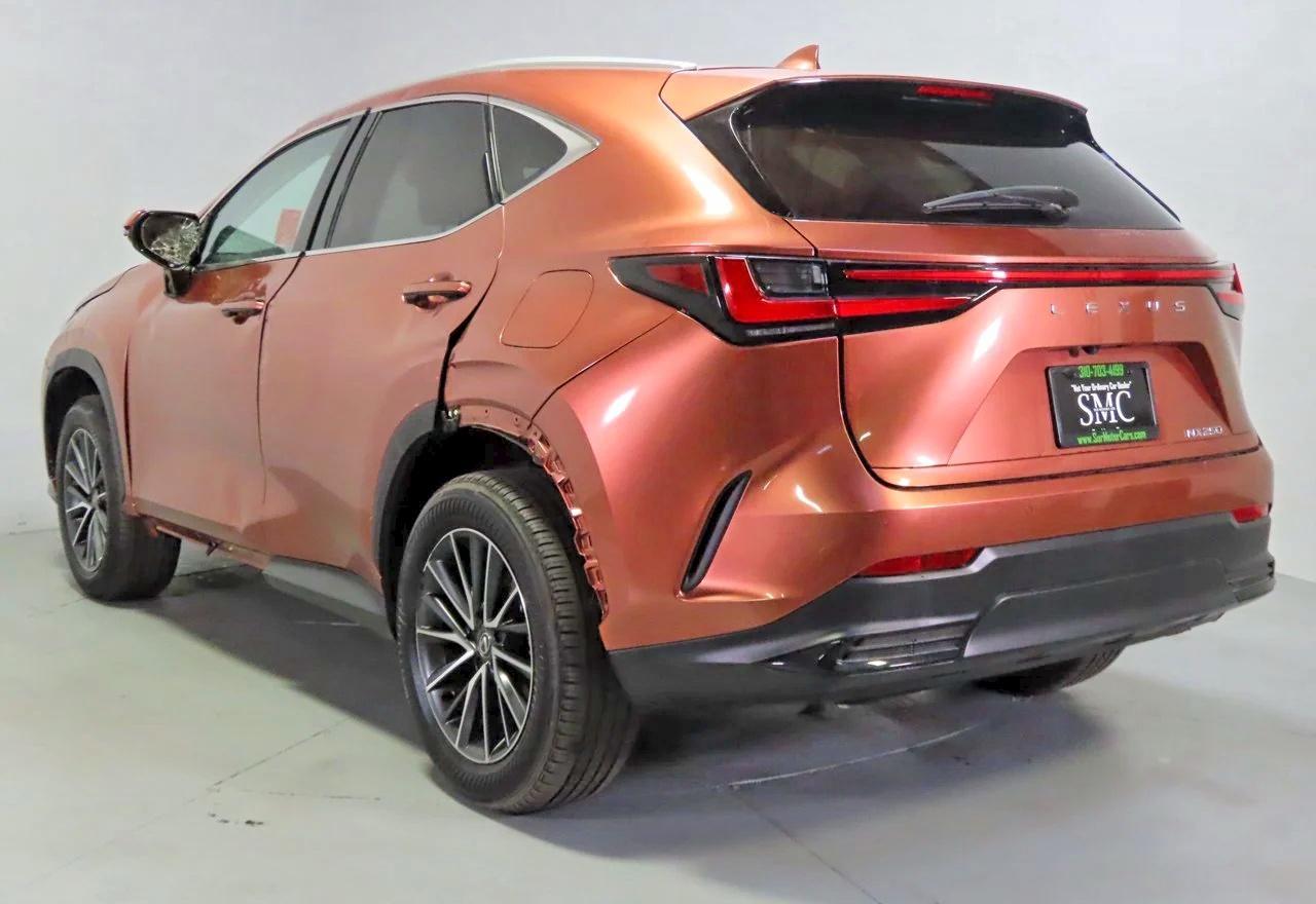 2025 LEXUS NX 250