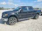 2011 FORD F-150 Lightning