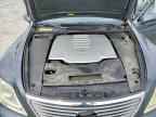 2007 LEXUS LS 460