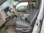 2009 FORD ESCAPE