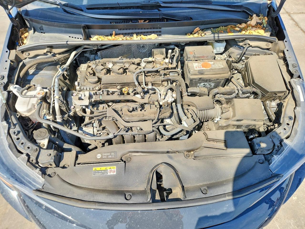2024 TOYOTA COROLLA