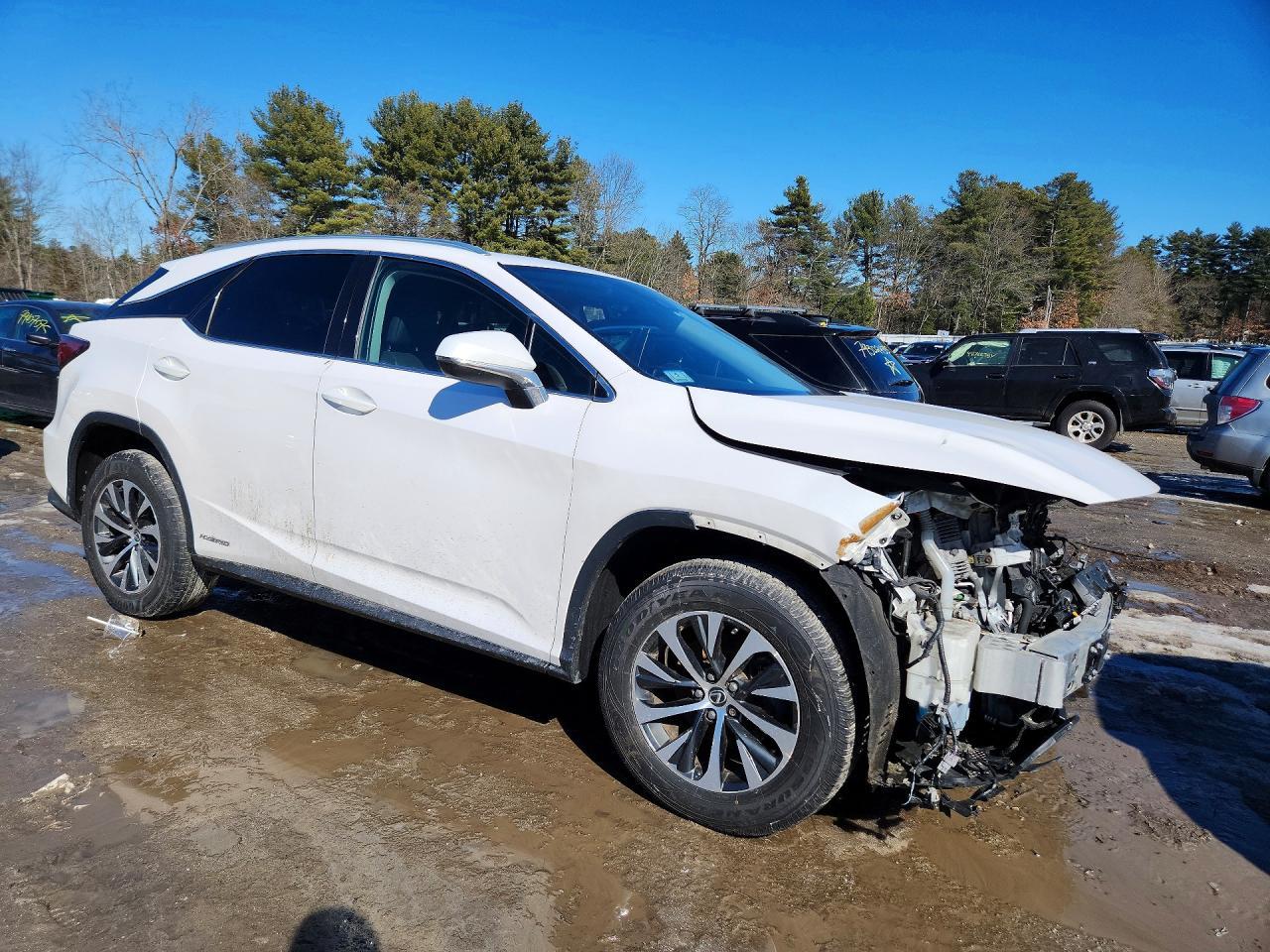 2020 LEXUS RX 450H
