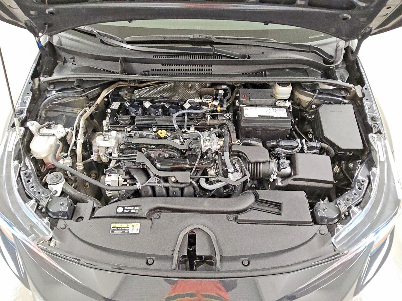 2025 TOYOTA COROLLA