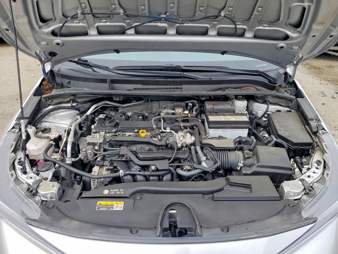 2023 TOYOTA COROLLA