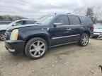 2010 CADILLAC ESCALADE