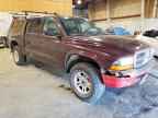 2004 DODGE Dakota