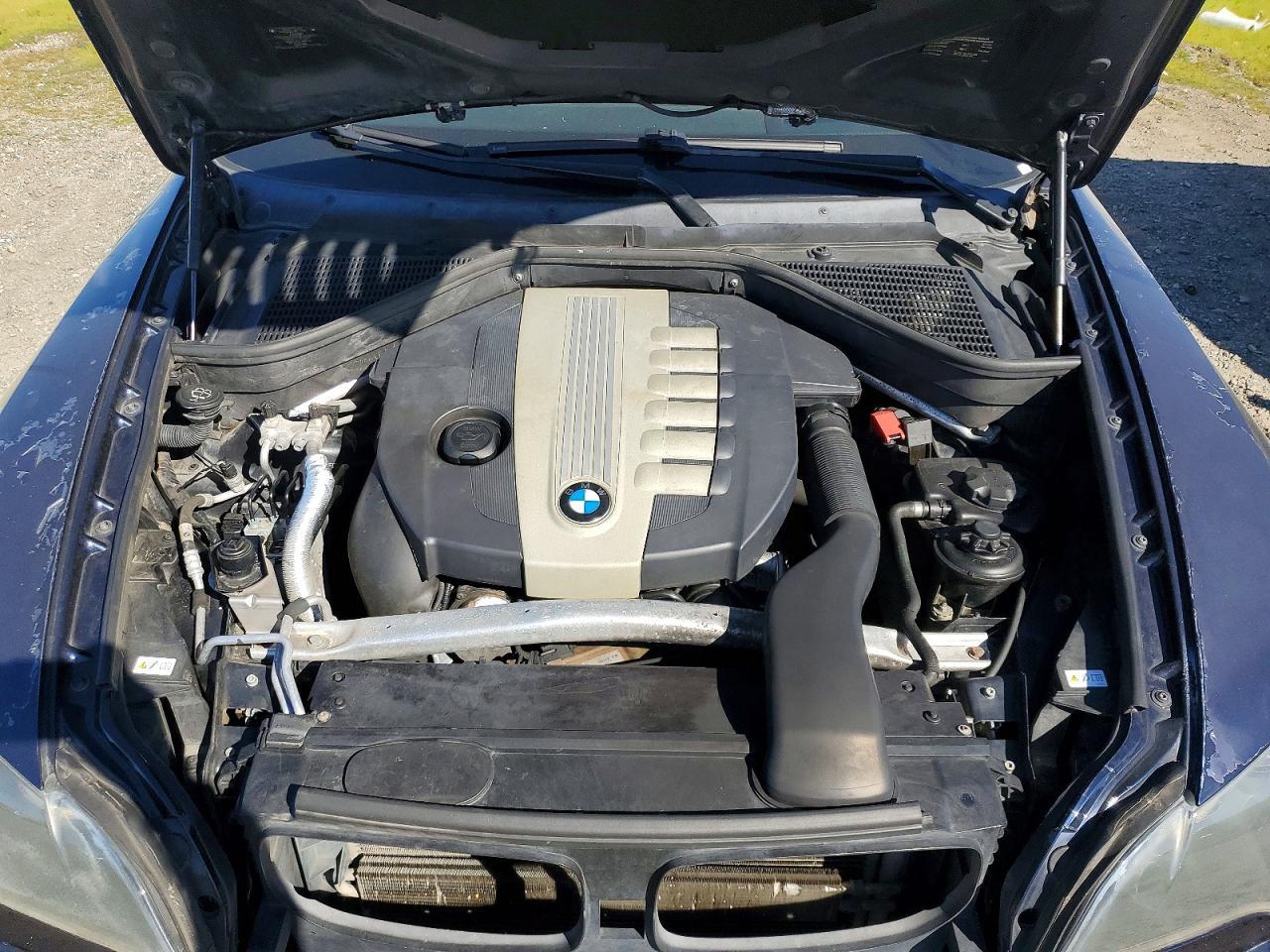 2010 BMW X5
