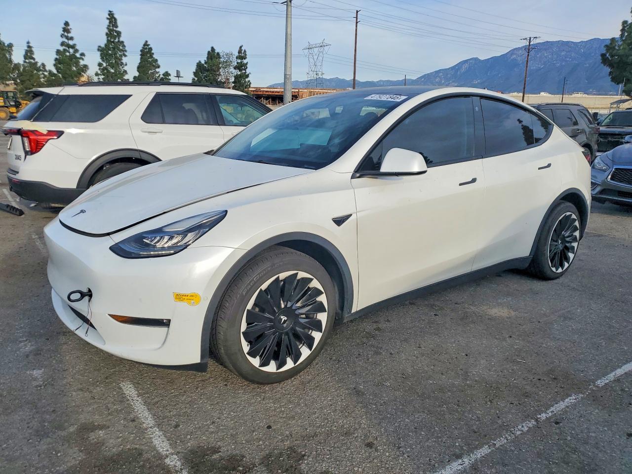 2021 TESLA MODEL Y