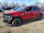 2024 KIA Niro