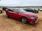 2024 LEXUS ES 300H