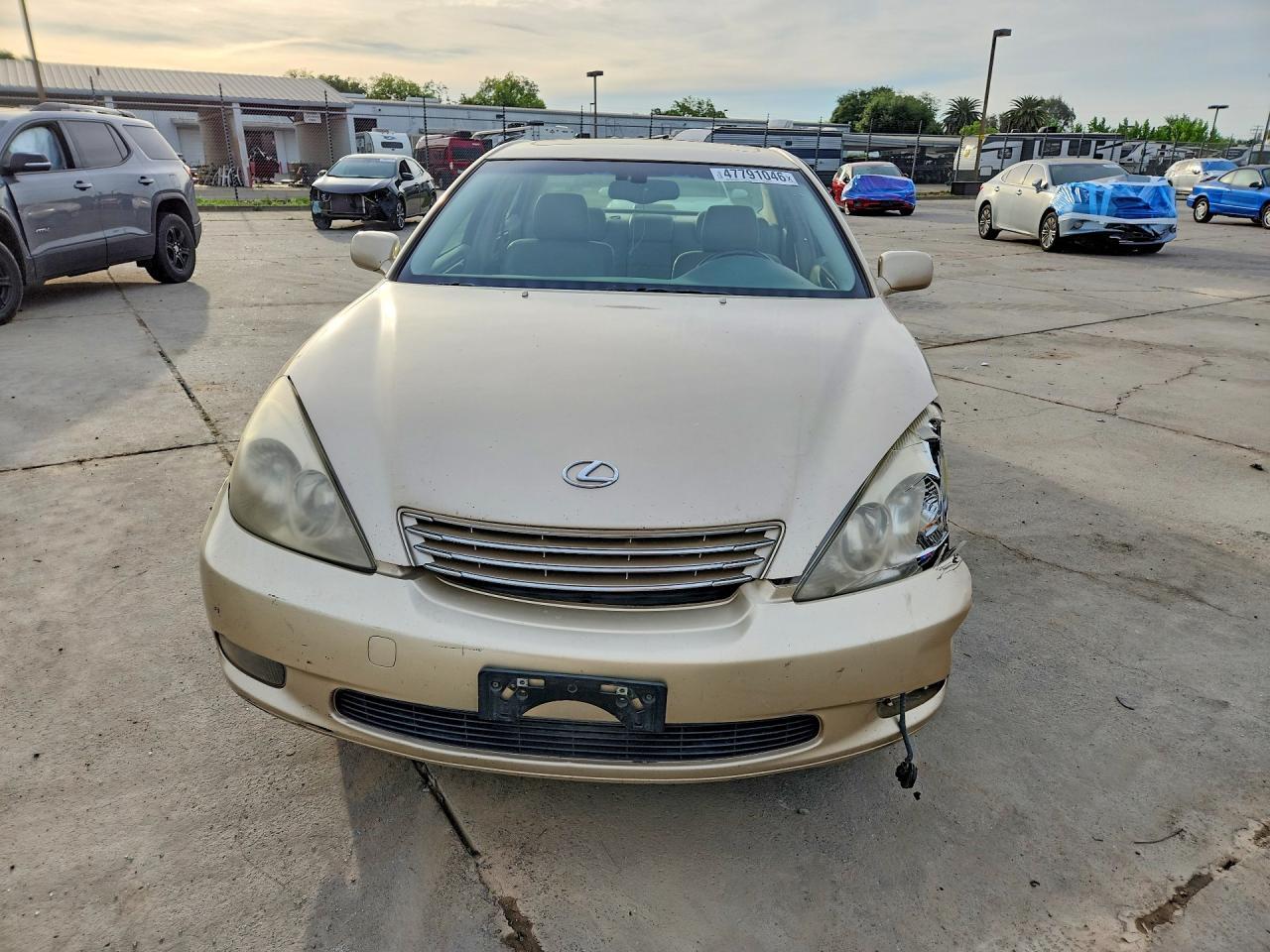 2004 LEXUS ES 330