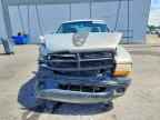 2000 DODGE Dakota