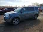2013 HONDA PILOT