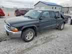 2003 DODGE Dakota