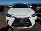 2026 LEXUS NX 350