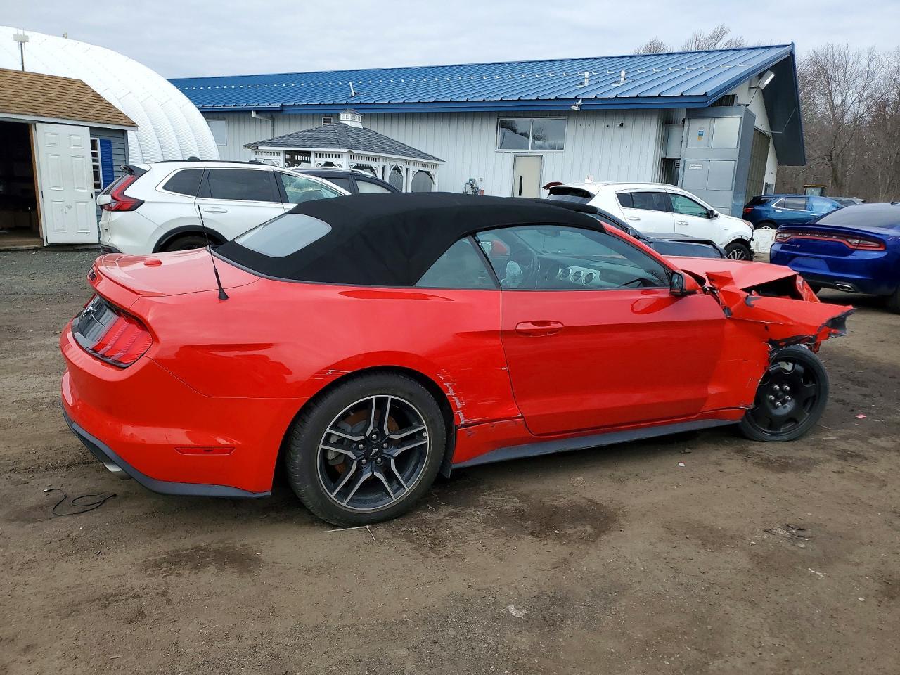2019 FORD MUSTANG