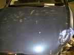 2007 HYUNDAI ACCENT